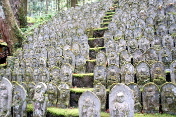 B_2009.jpg